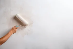 DECORATIVE & WATERPROOF PAINT